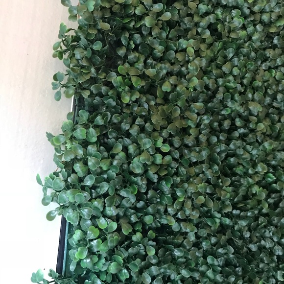 Grass panel - Picture 1 of 1